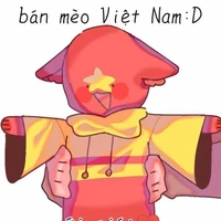 hệ thống mèo VNG