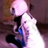404°^°sans