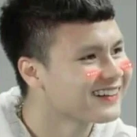 Quang Hải-cánh cụt