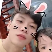 t/g-Mie