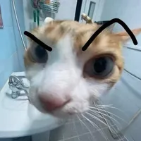 chủ toạ