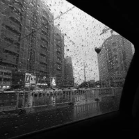 " Liên quan 1 toàn đầu xanh đấu đỏ"