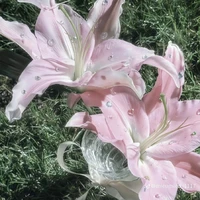 T/g thích gì đc đó