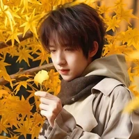 Hạ Tuấn Lâm