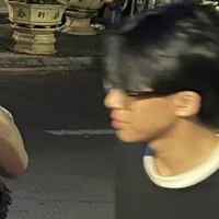 Vdarh (Trần Quốc Việt)