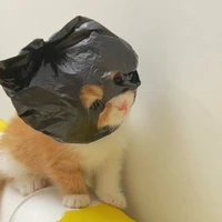 Ká