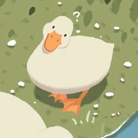 hệ thống vịt_Mizu