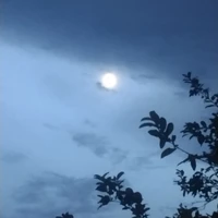 cân tất cả mọi vai 😏