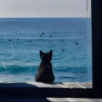 @ 𝗵𝗼𝗶𝗵𝗼𝗰𝘀𝗶𝗻𝗵