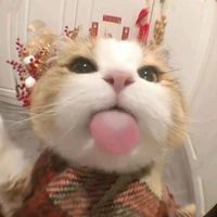 tg rầu rỉ