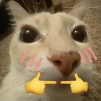 Tiuquyn (tác giả)