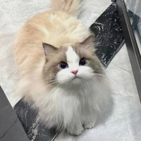 Honey _ Tả Hàng