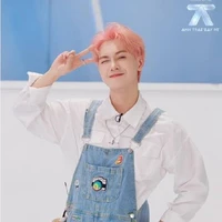 nguyễn thái sơn ,đầu hồng