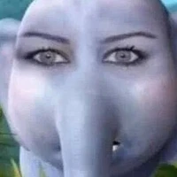 Tác Giả 🐘