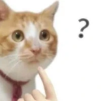 ???