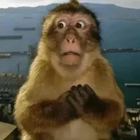 thư ký (t/g thứ 2)