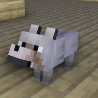 Lucky ( Chó của Ma Xương Đen )