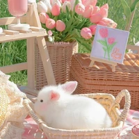 Tác giả zô chii