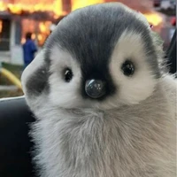 tg đâyyyy