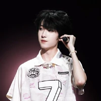 Dương Bác Văn (em)