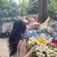 Nguyễn ngọc hà