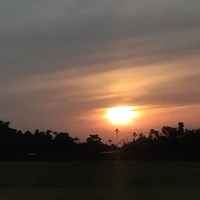 T/g bị khờ