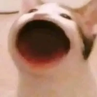 con tác giả bị frop lòi trĩ nè