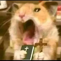 áaaaaaaaa (hệ thống)