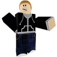 niko buildbricks