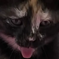 Klẹpp - Hệ Thống skibidi