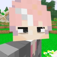 Hiha BNHA🪼