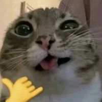 t/g