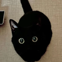 Hệ thống - Akita