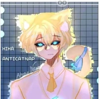 hiha anti catnap