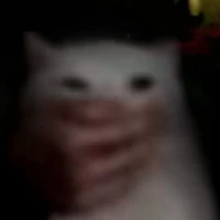 kiếp làm nhân vật phụ😞