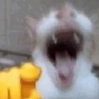 tác giả đẹp gay