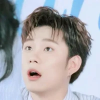 Trần Đăng Dương - Dương Domic