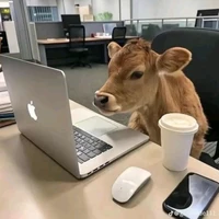 T/g là con bò hphuc nhất tg