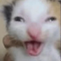 Bố mày chấp hết