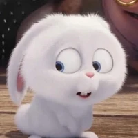 all bọn họ (trừ ai thì trừ)