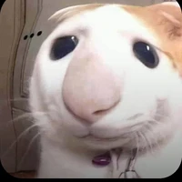 chấp hết mọi loại vai