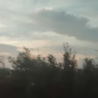 Cả 2 người 