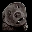 hệ thống 797: nani