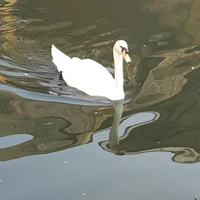 ？？？