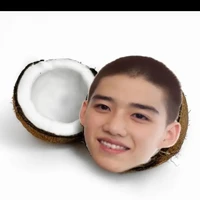 tác giả chu che