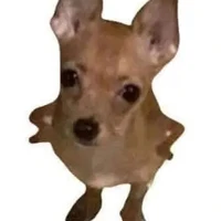 ai đó(nghề nào cũng đc)