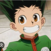 Gon Freecss