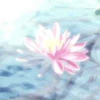 t/g(Cáo)