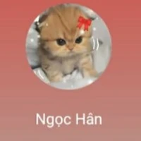N.hân