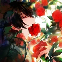 Hashimoto Kai_X